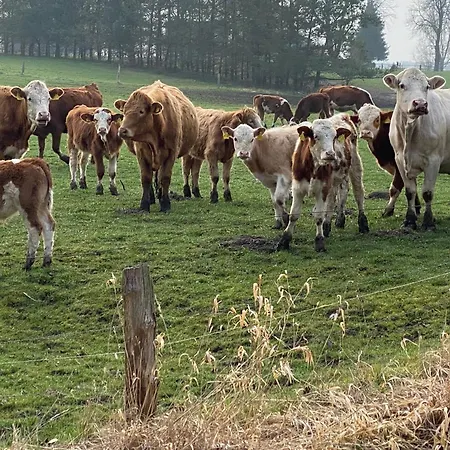 לינה וארוחת בוקר Wasserburg Turow Glewitz