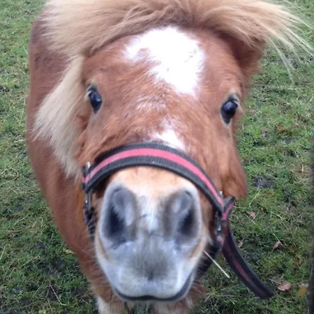 Wasserburg Turow Glewitz