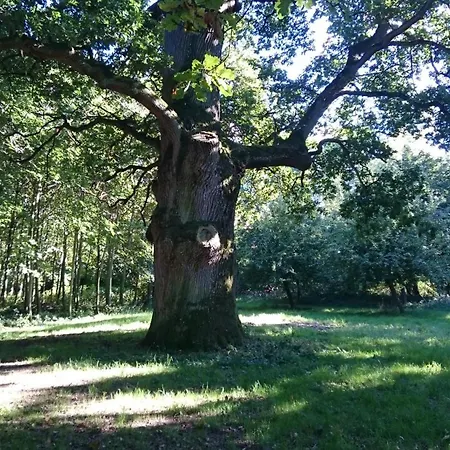 לינה וארוחת בוקר Wasserburg Turow