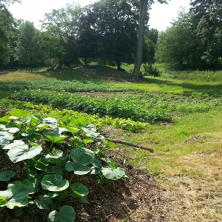 Wasserburg Turow Glewitz